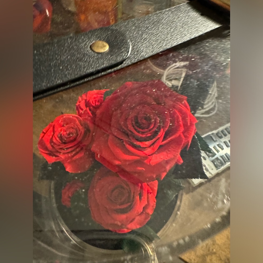 Eternal Roses - Picture 4 of 4